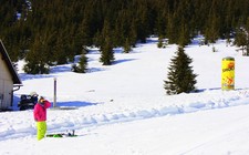 Kouč Růžovák snowboardový