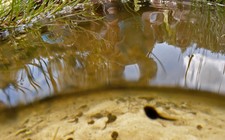 Soutěžní foto skupiny paní učitelky Hanky