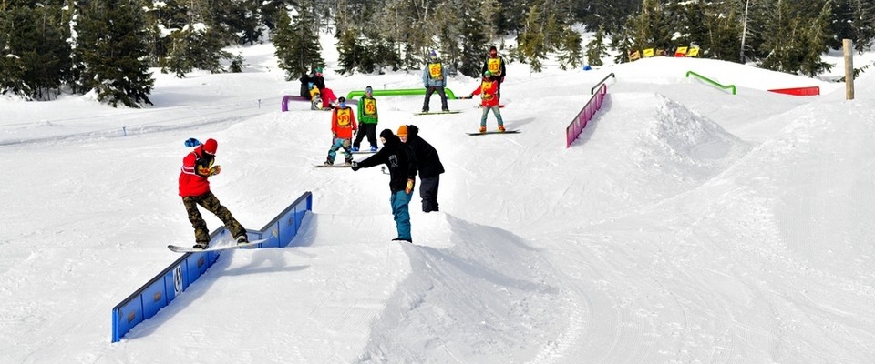 Zajistíme kreativní a originální řešení designu snowparku s efektivní stavbou i denní úpravou, která minimalizuje náklady...